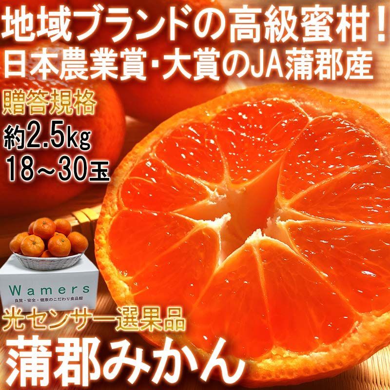 蒲郡みかん 温室栽培 約2.5kg 18～30玉 愛知県産 贈答規格 JA蒲郡市 光センサー選果 地域ブランドのギフト蜜柑！日本農業賞・大賞の産地で育てたフルーツ