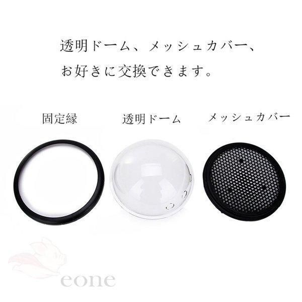 子猫用