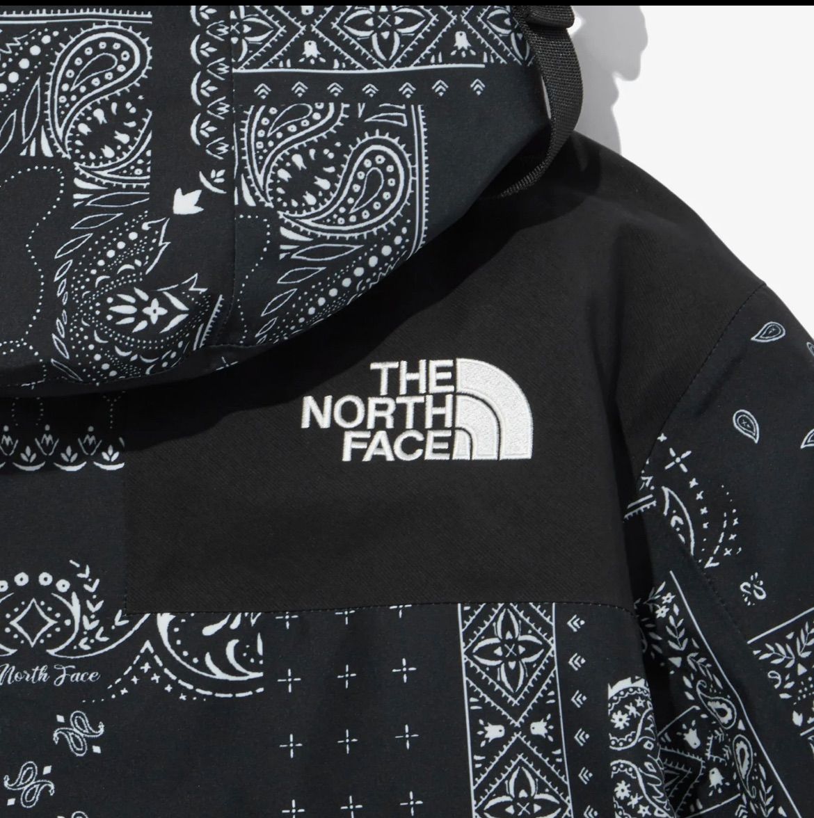 THE NORTH FACE ノースフェイス 海外限定 日本未発売 マウンテンジャケット ゴアテックス ペイズリー柄 バンダナ
