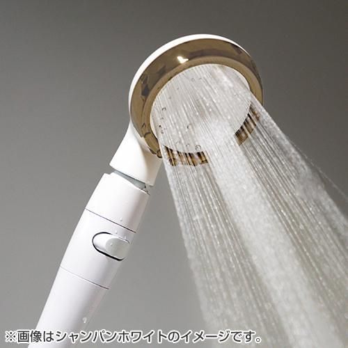 新品・未開封】 Arromic アラミック シルキーナノバブルシャワー 