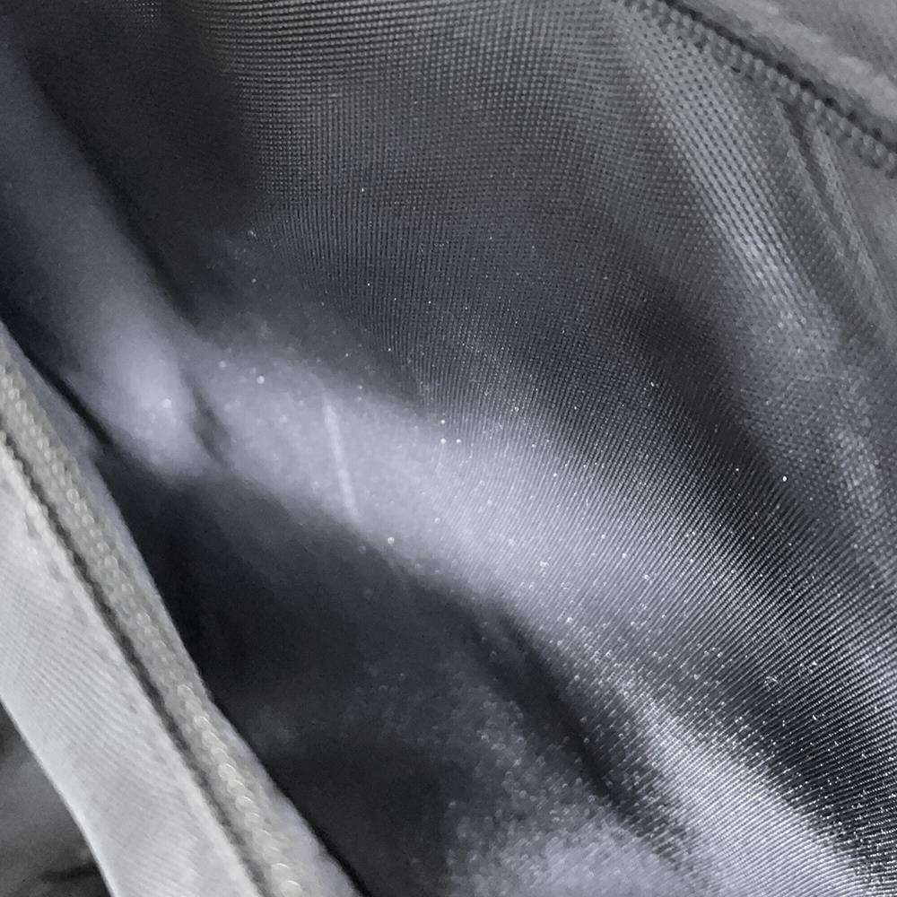 ペガス55