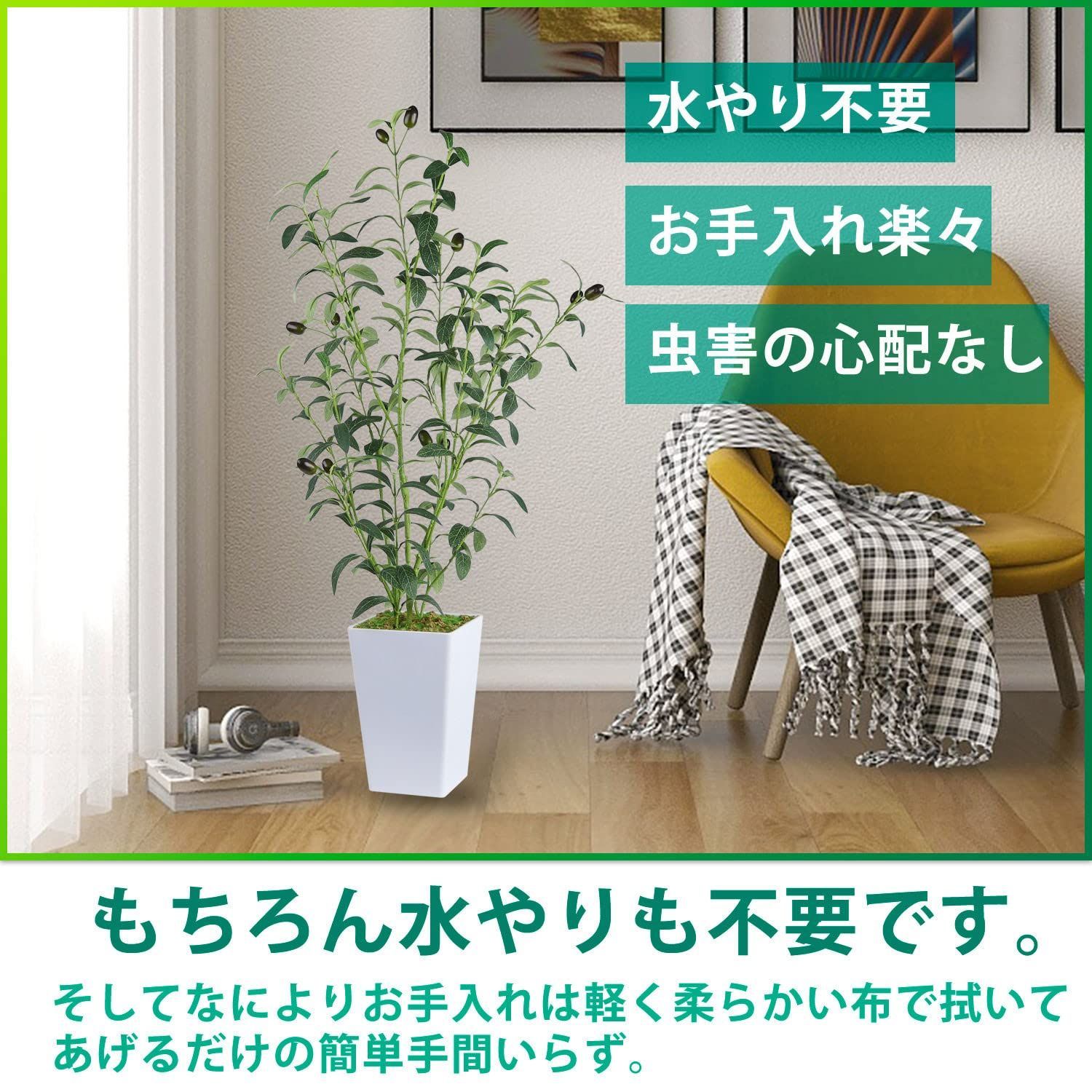 光触媒 空気清浄