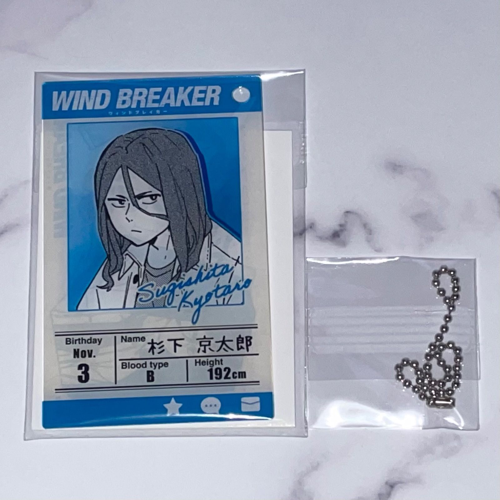 WIND BREAKER ウィンブレプロフィールカードキーホルダー杉下京太郎