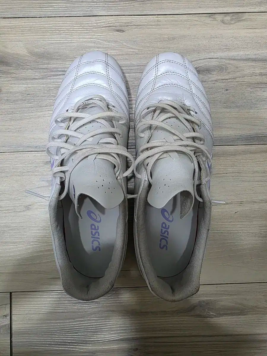 世代 270mm