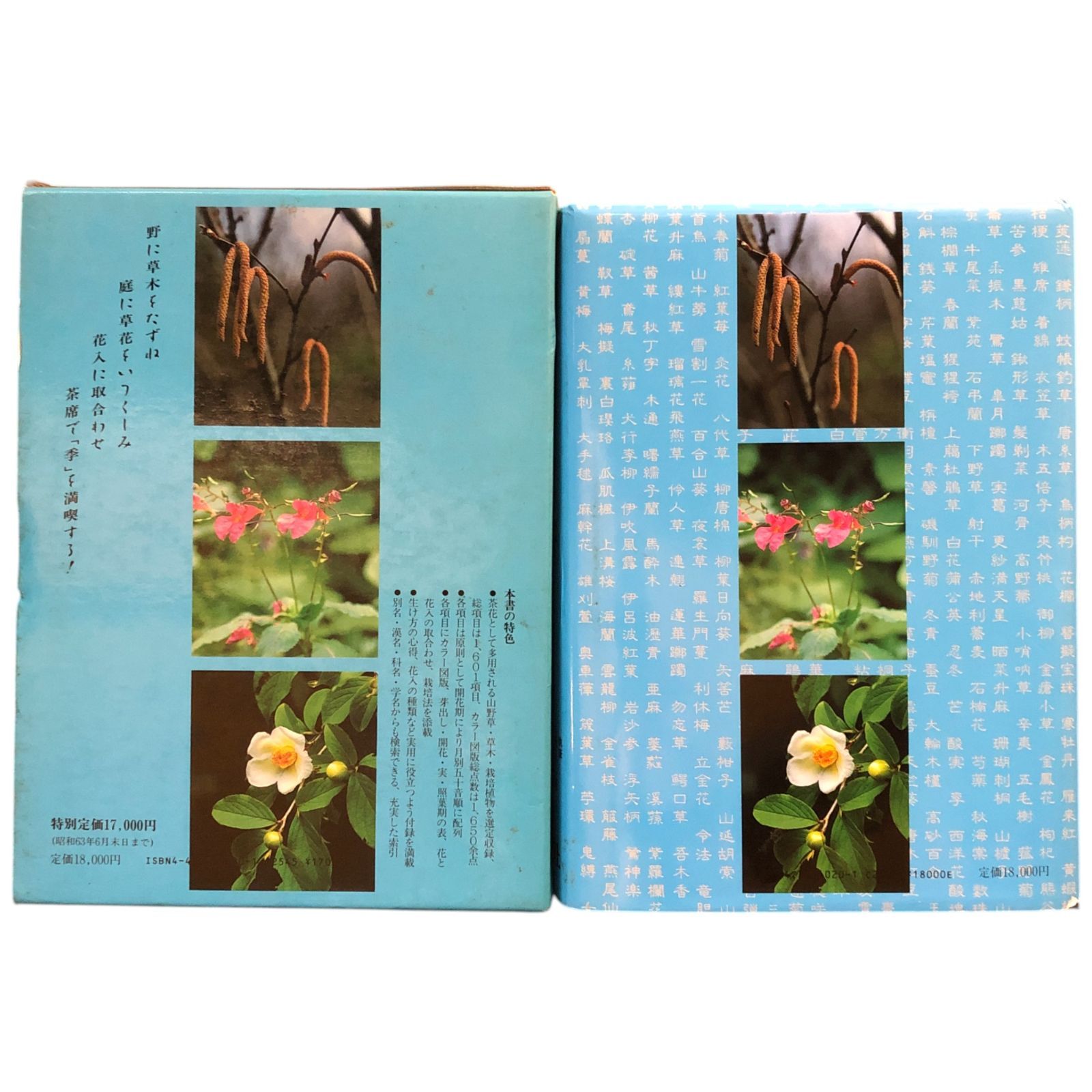 原色茶花大事典 塚本洋太郎 監修 株式会社淡交社 昭和63年3月27
