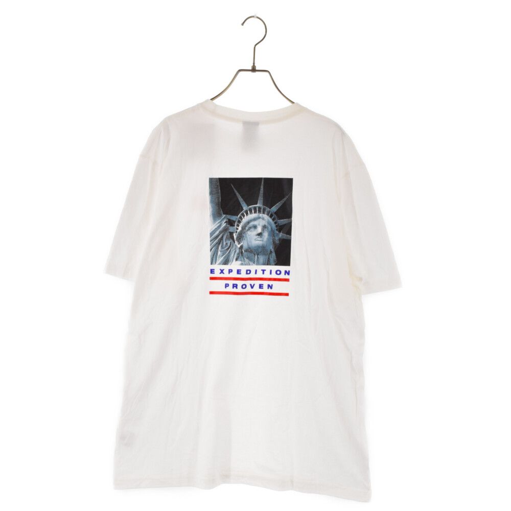 supreme north face expedition tee  LargeTシャツ/カットソー(半袖/袖なし)