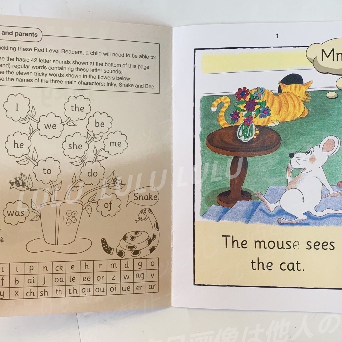 Jolly Phonics