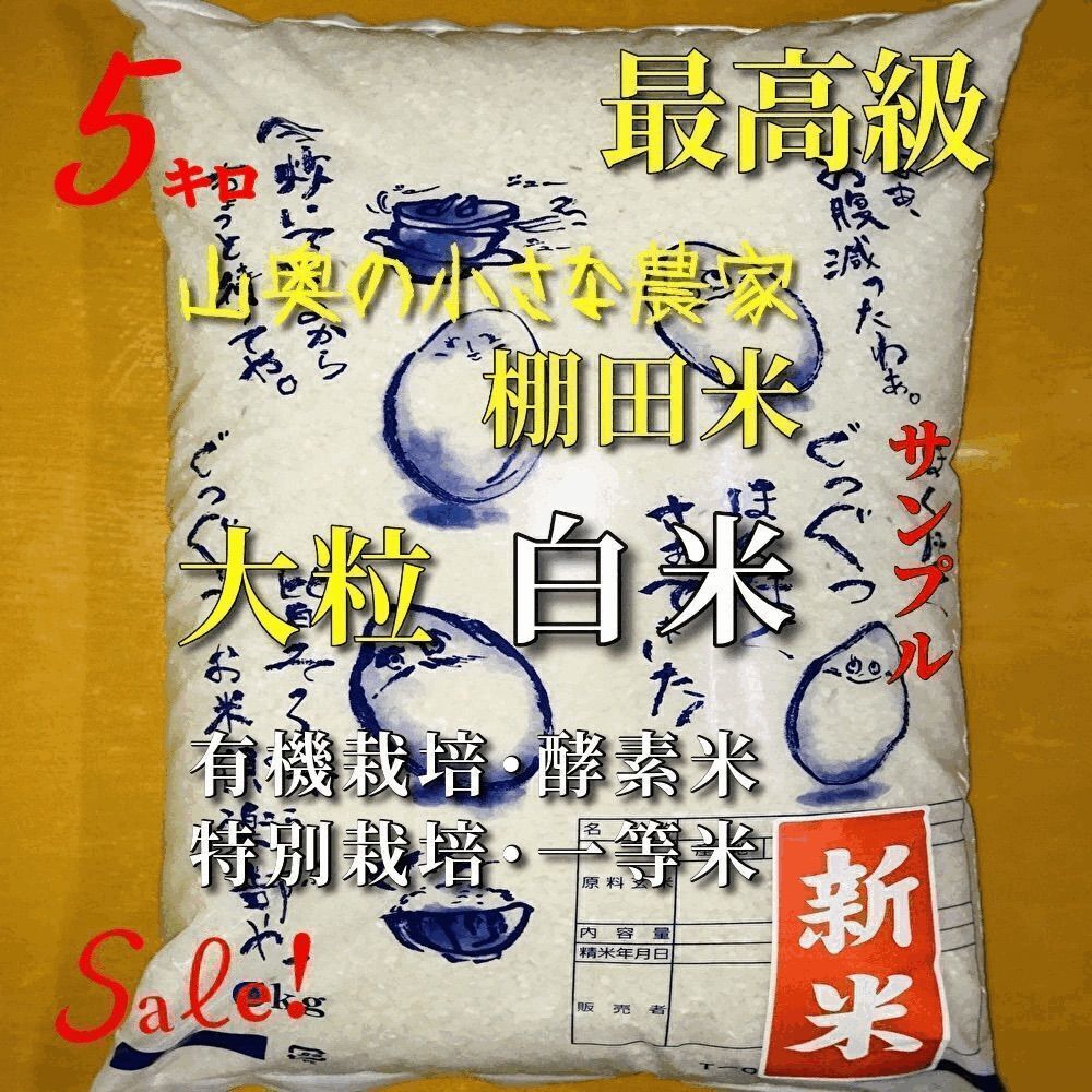 新米 棚田 ❗️幻のハイブリッド 大粒 酵素米 お米 玄米５Kg「標準白米