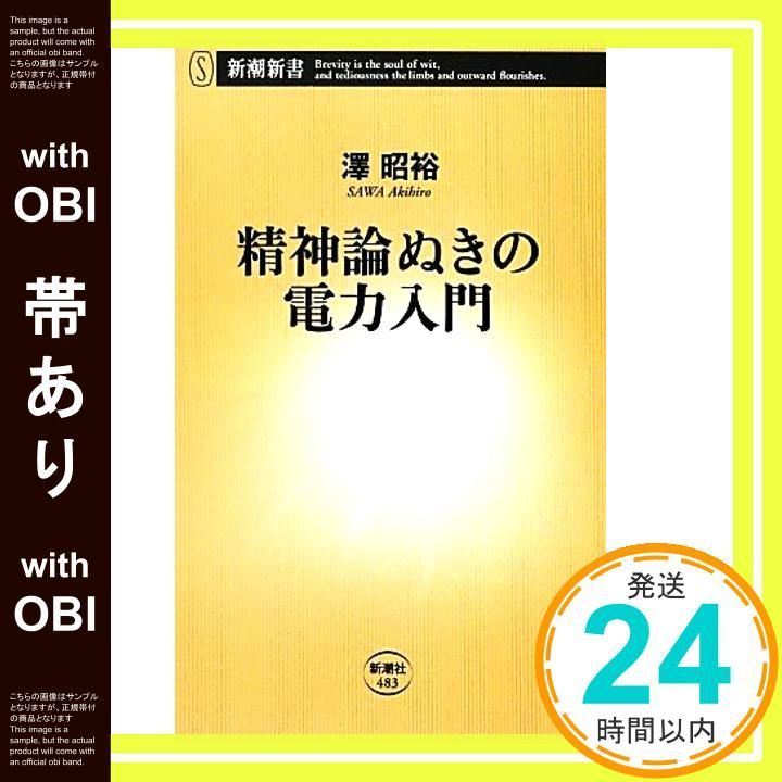 帯あり 精神論ぬきの電力入門 新潮新書 Aug 14 2012 昭裕 澤_07