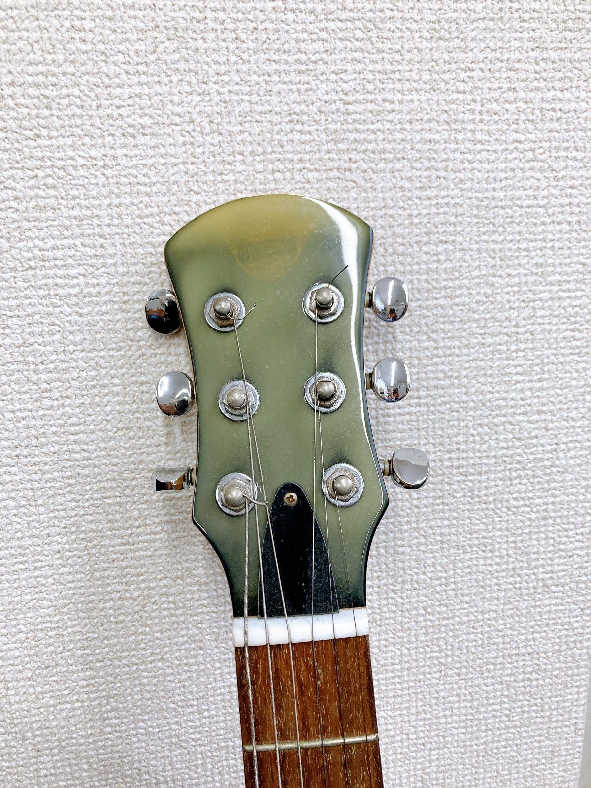 Pignose ピグノーズ