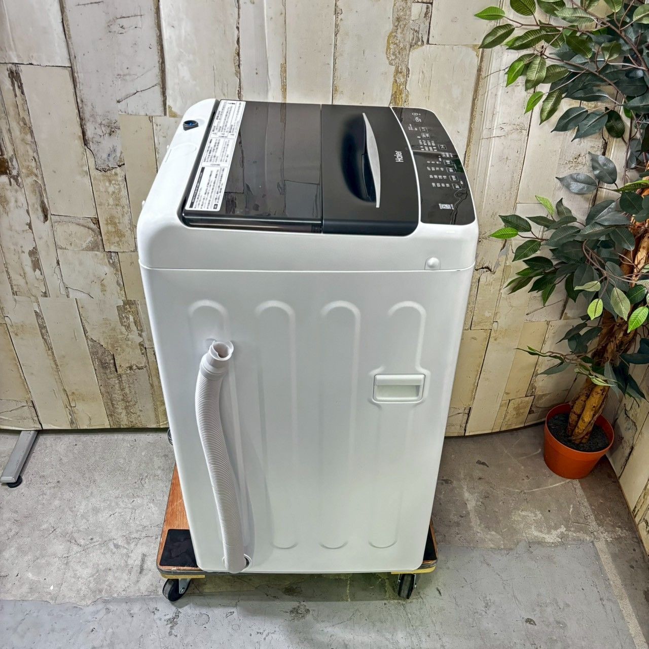2023年製】Haier ハイアール JW-U55B 洗濯機 5.5kg - メルカリ
