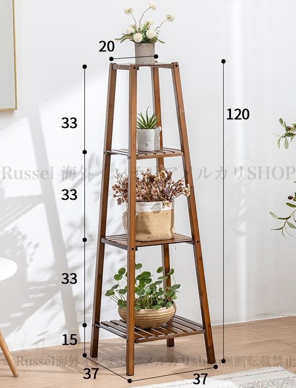 観葉植物 多肉植物