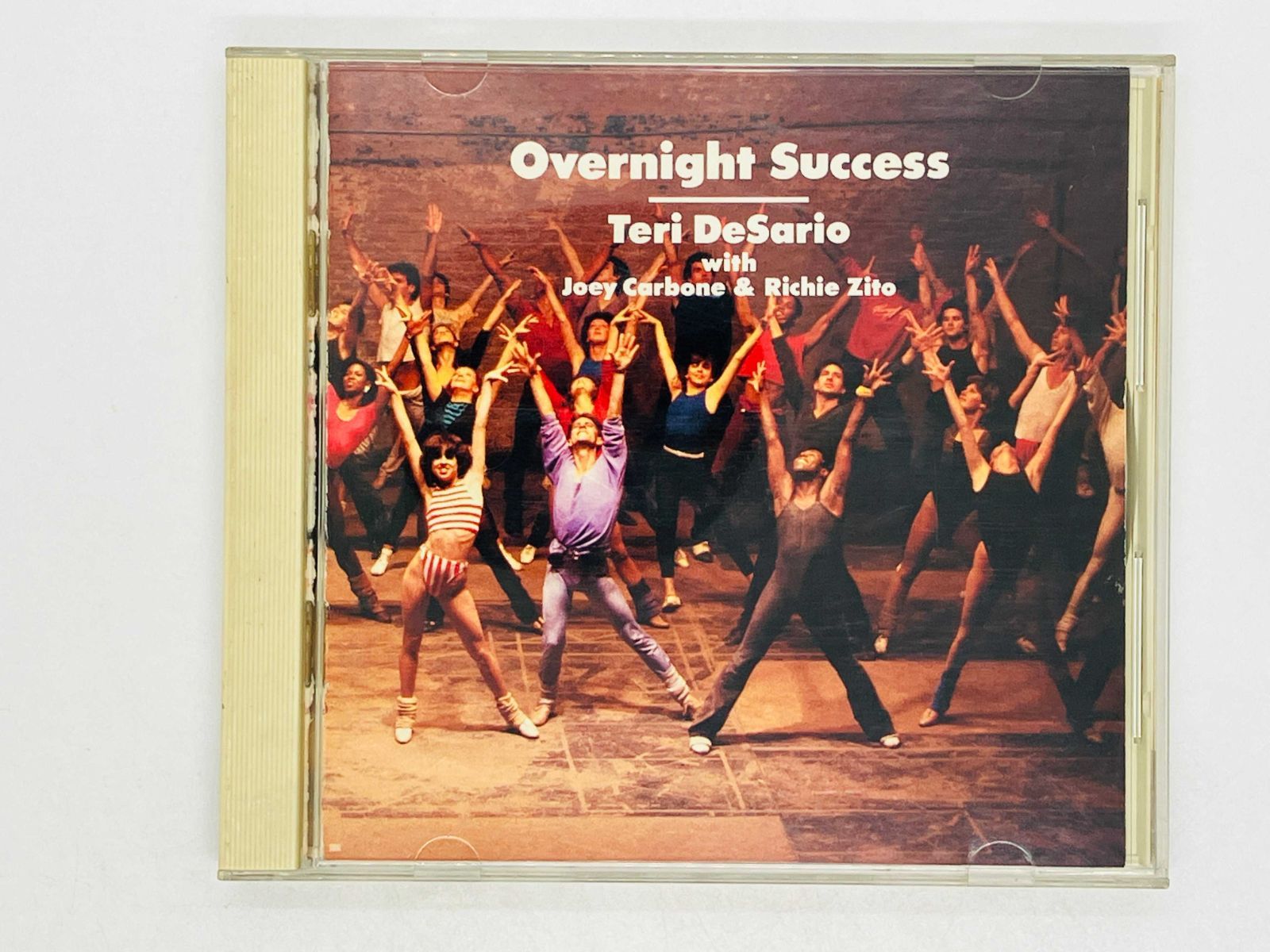 テリー・デサリオ Overnight Success オーバーナイト・サクセス