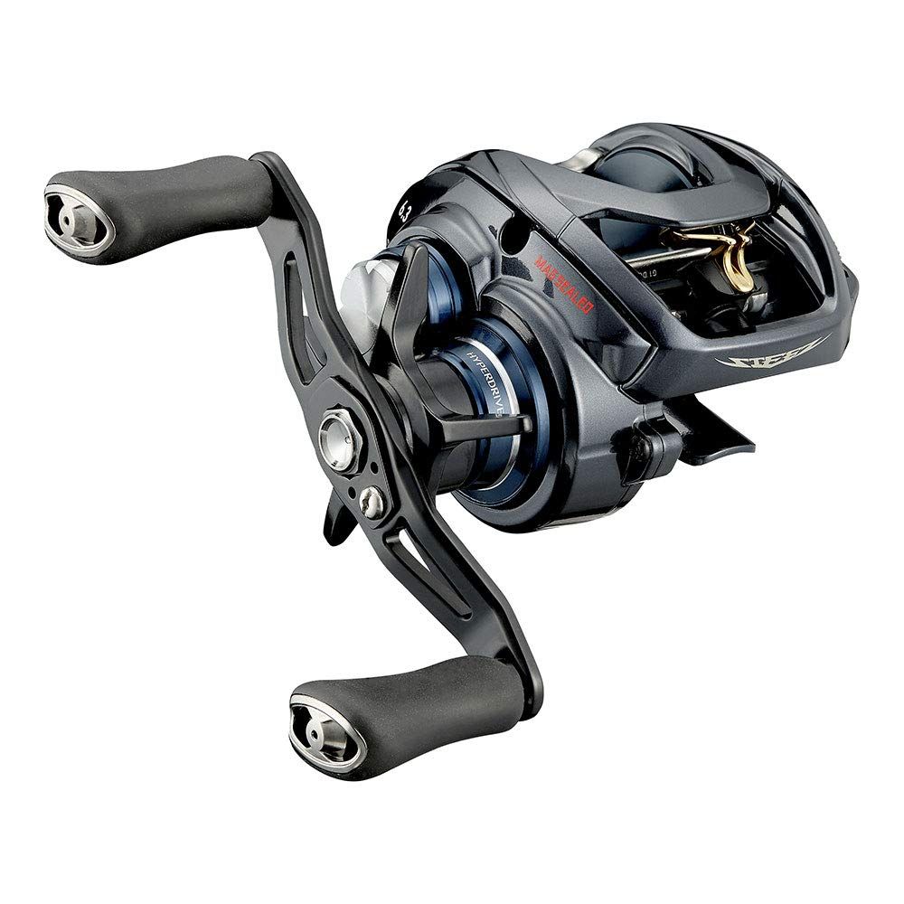 ダイワ DAIWA 21 スティーズ A TW HLC 6.3R
