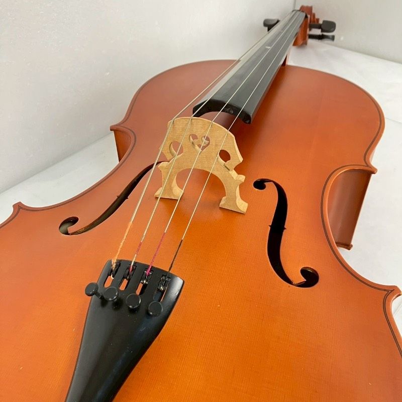 本体 ソフトケース