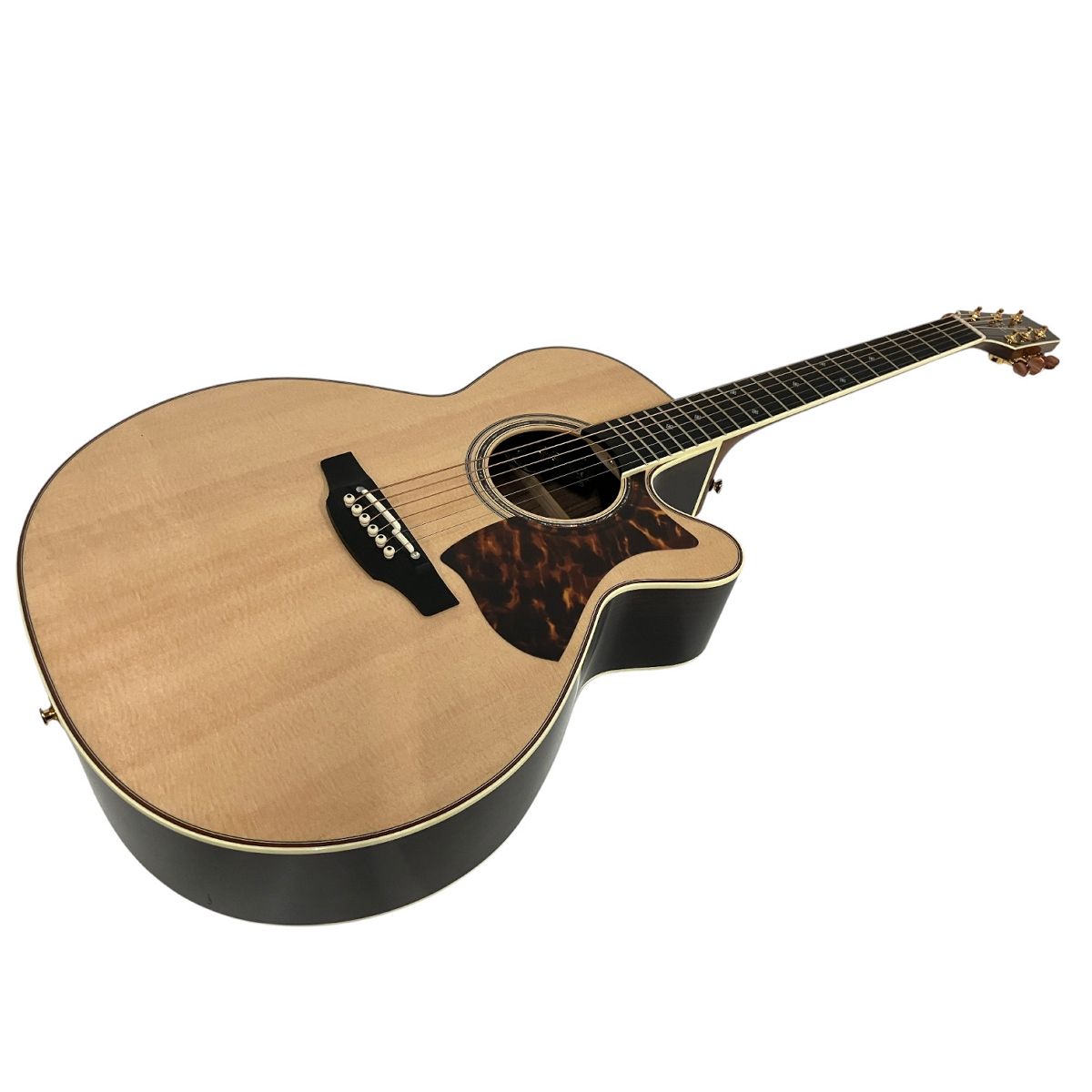 Takamine タカミネ DMP50S エレアコ 弦楽器 ハードケース 付き 弦楽器 中古 良好 B9475379 - メルカリ