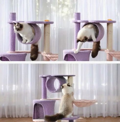 ハンモック