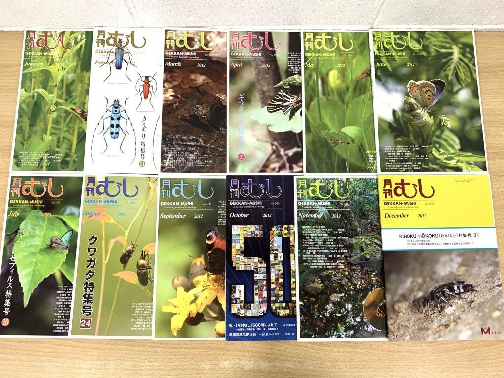 ▲01)【同梱不可】月刊むし 2012年1月～12月号/1年分12冊セット/むし社/昆虫/雑誌/バックナンバー/A