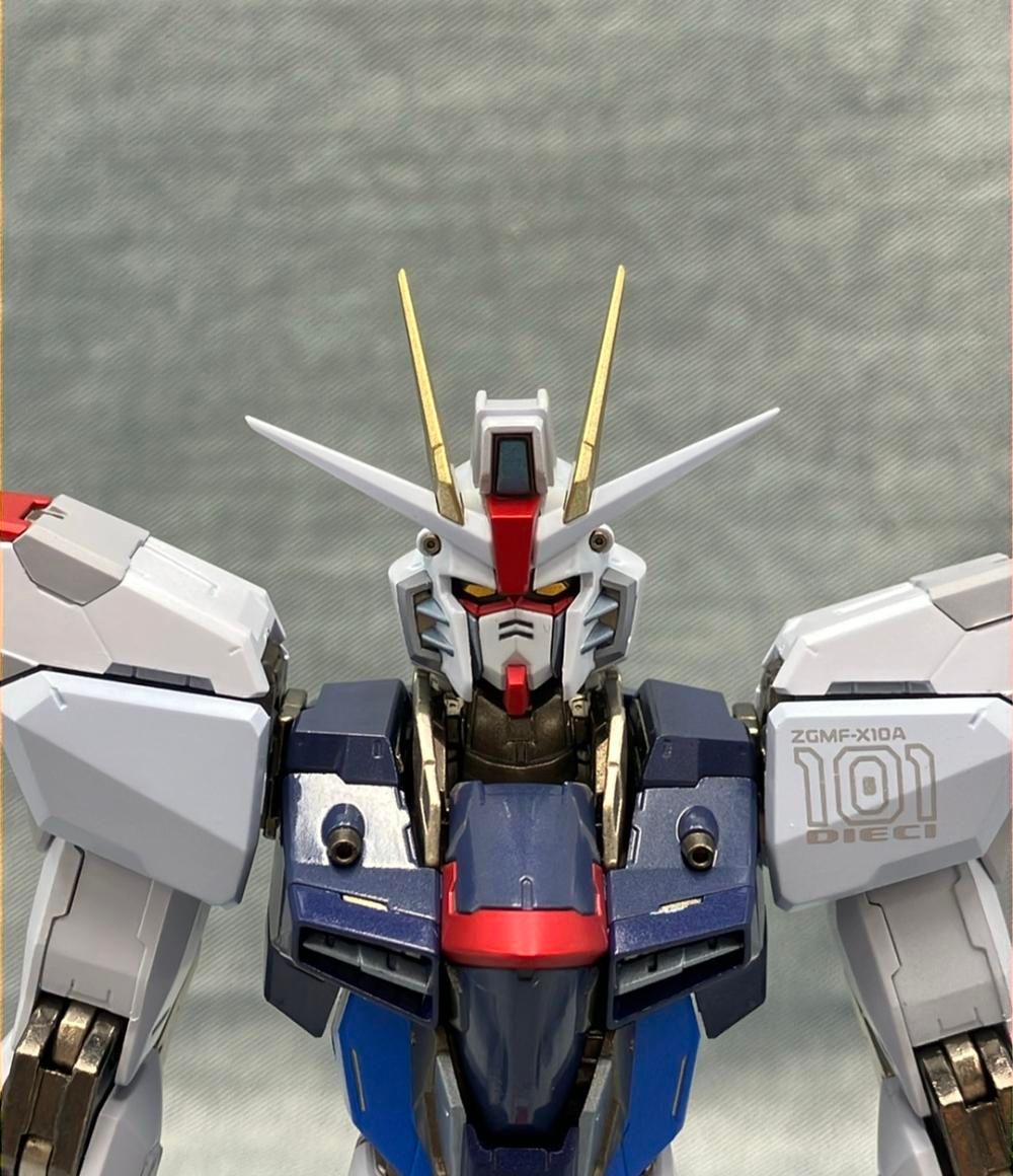 機動戦士ガンダムSEED METAL BUILD フィギュア ZGMF-X10A
