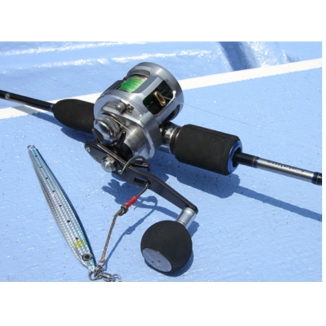 ダイワ キャタリナ BJ 100H-L フィッシング 15 キャタリナ BJ 100HL