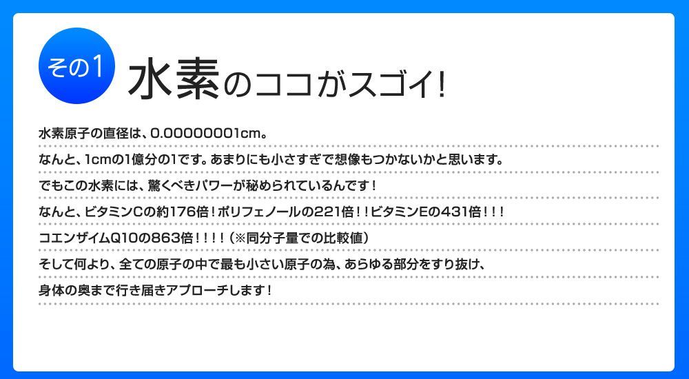 約12ヶ月分ダイエット サプリメント