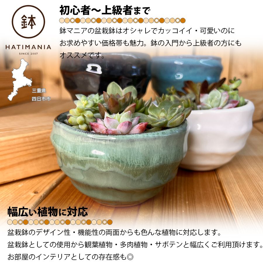 豆鉢 ミニ盆栽鉢 ミニサボテン 多肉鉢 （ミニミニ盆栽鉢 多肉