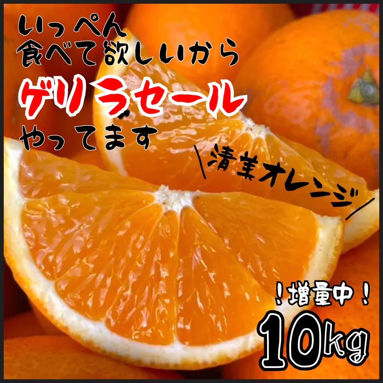 清見オレンジ　10kg-0