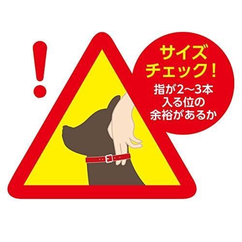 Sサイズ オレンジ