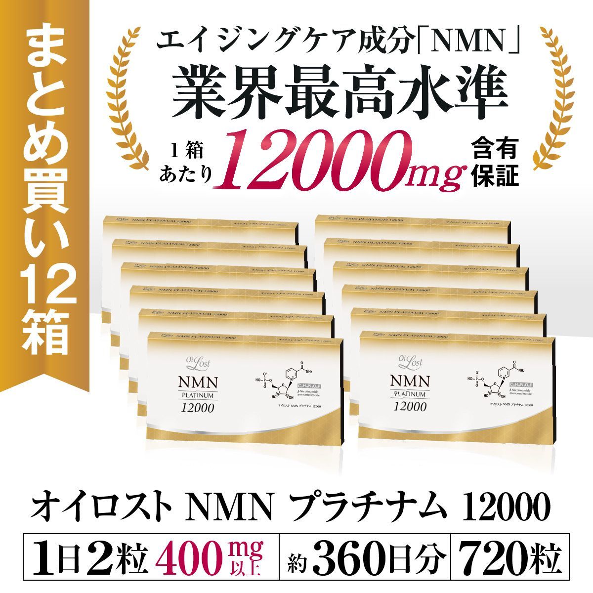 真作保証 河嶋淳司「家族象」リトグラフ10号 肉筆サイン 限定150部 　a 真作保証 河嶋淳司「家族象」リトグラフ10号 肉筆サイン 限定150部 a