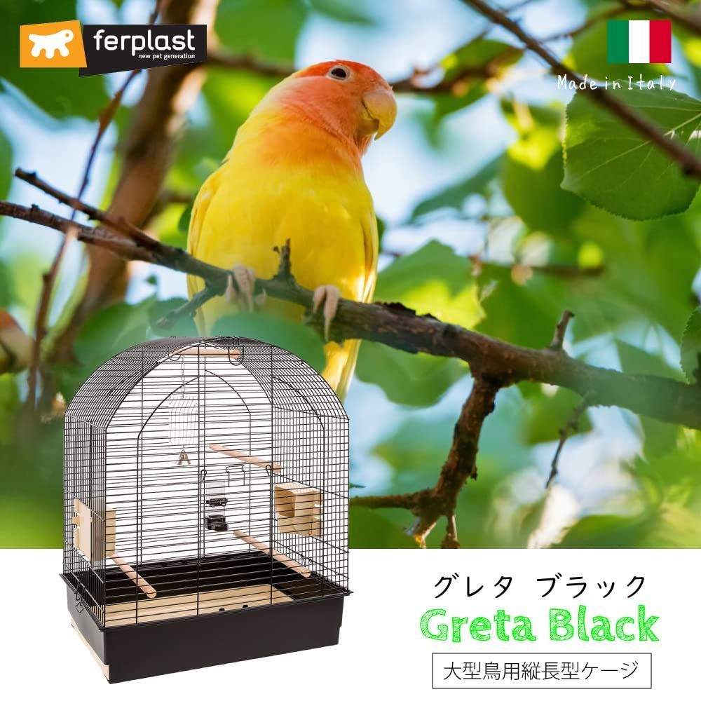 フルセット