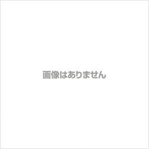 引掛シーリング ダクトレール対応