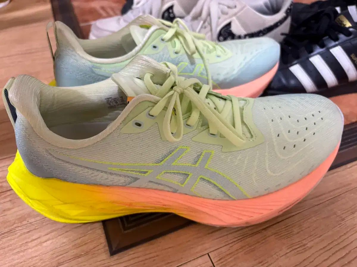 Asics アシックス ノバブラスト 4 クールワゴン 270 サイズ
