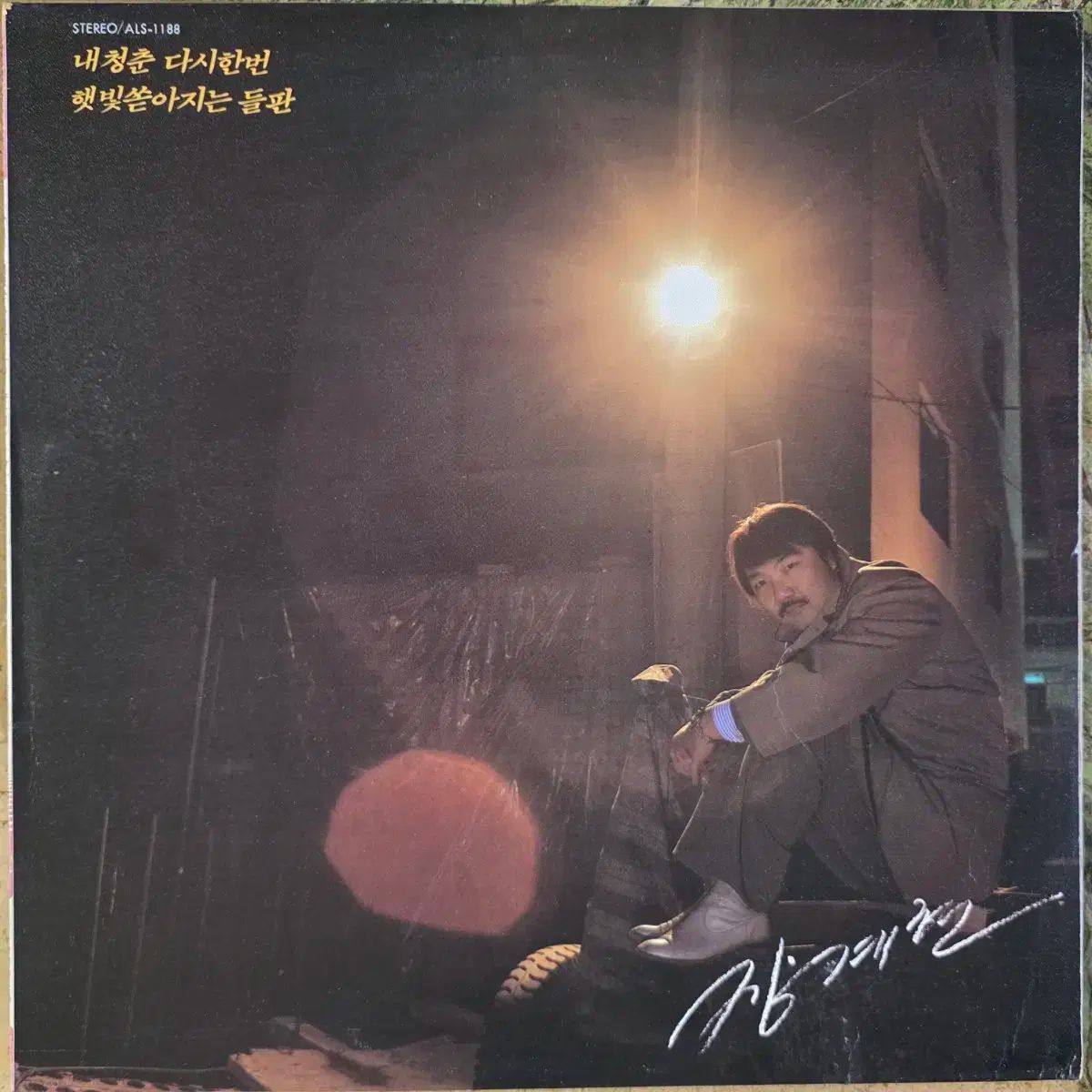 チャン ゲヒョン 僕の青春 もう一度 日差し降り注ぐ 野原 LP