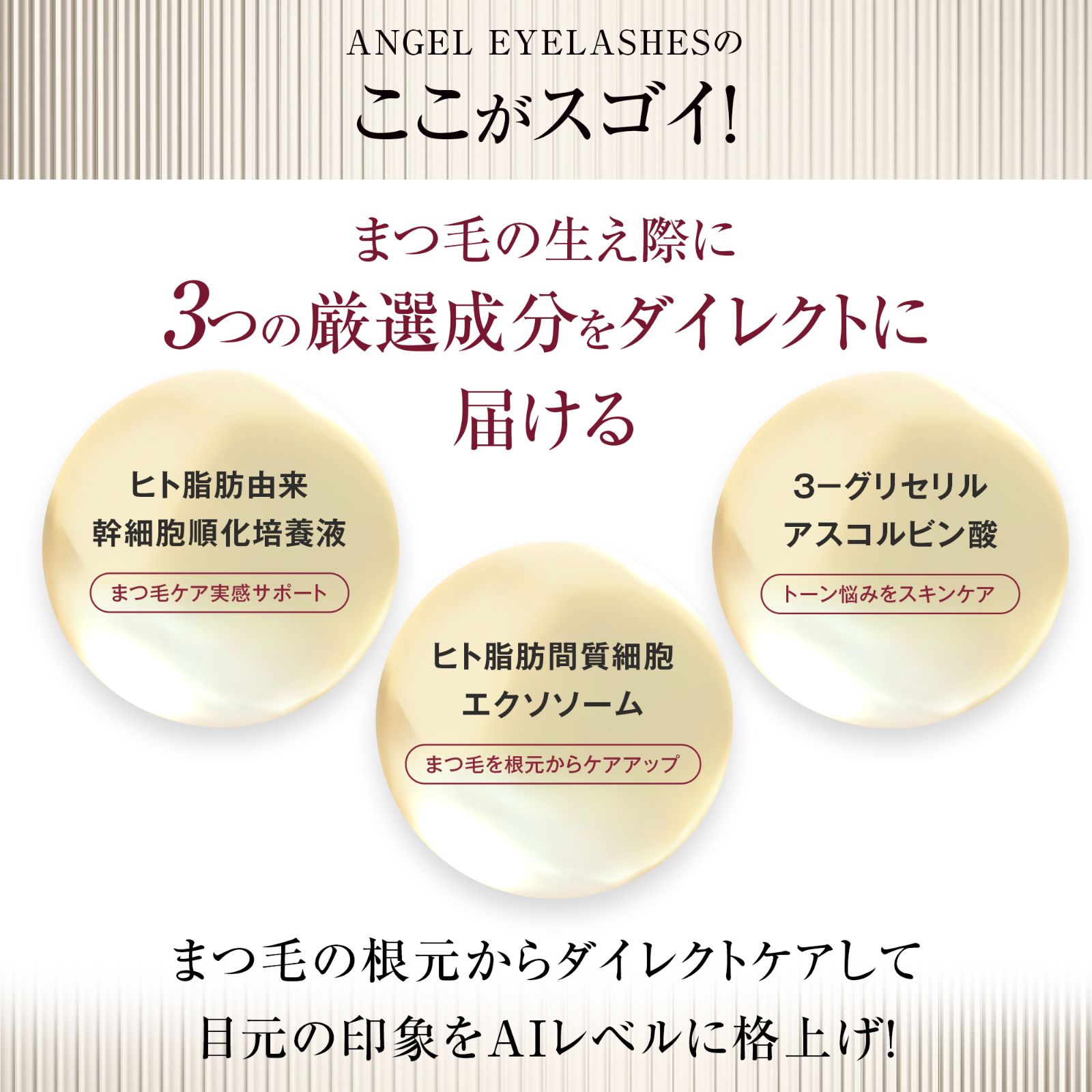 EYELASHES 日本初