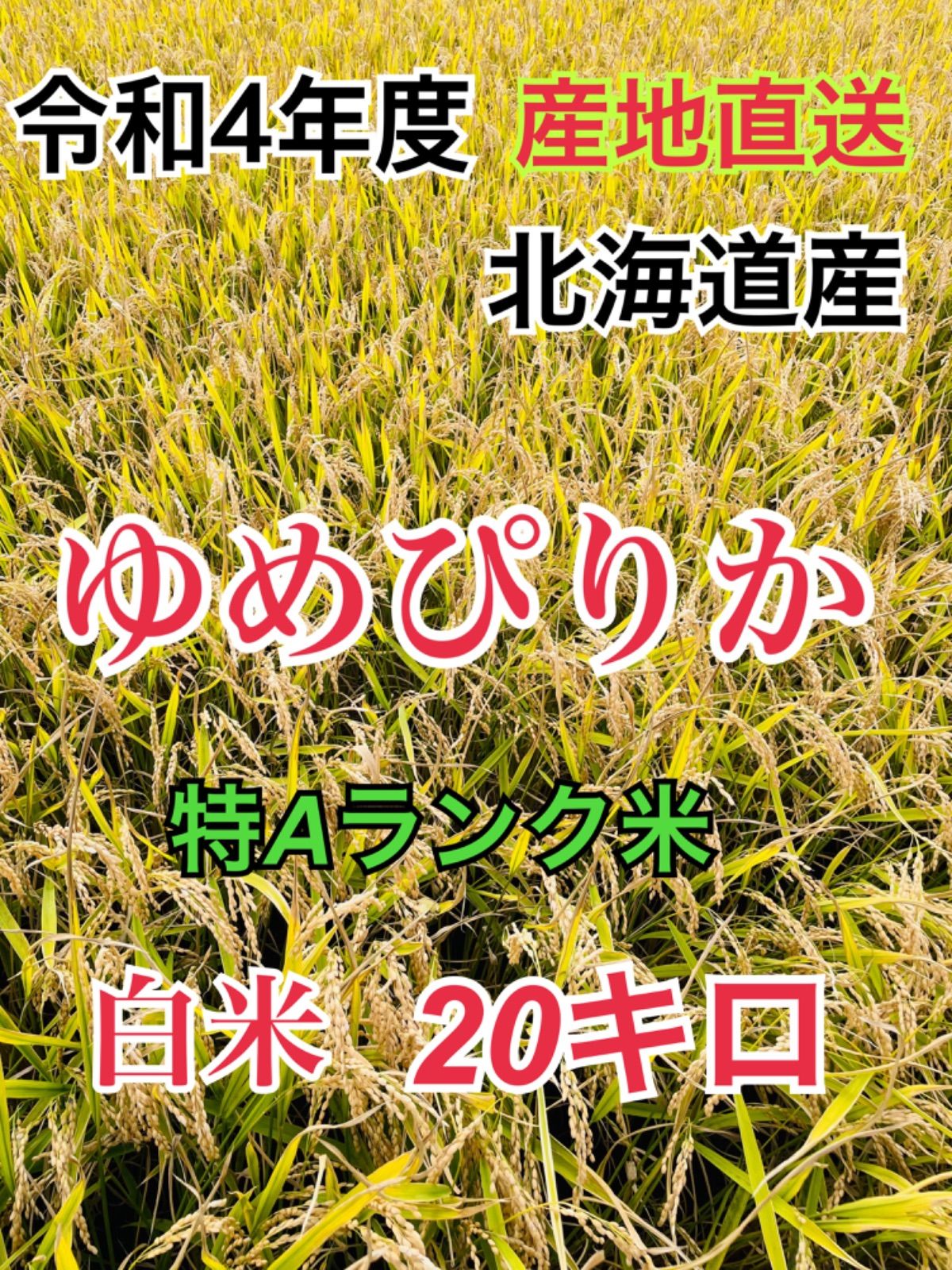 令和4年産 北海道米 おぼろづき 20キロ 一等米 農園直送 - 米、雑穀、