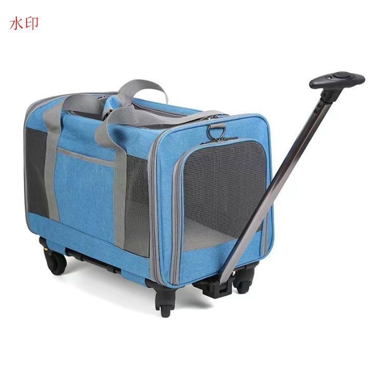 小型犬