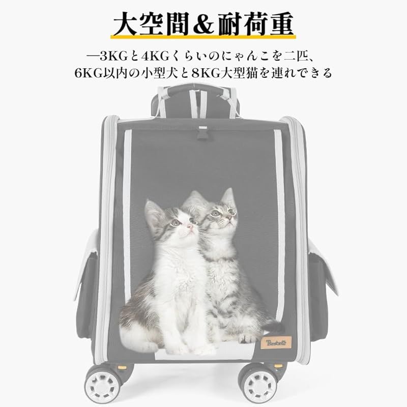 キャリーバッグ