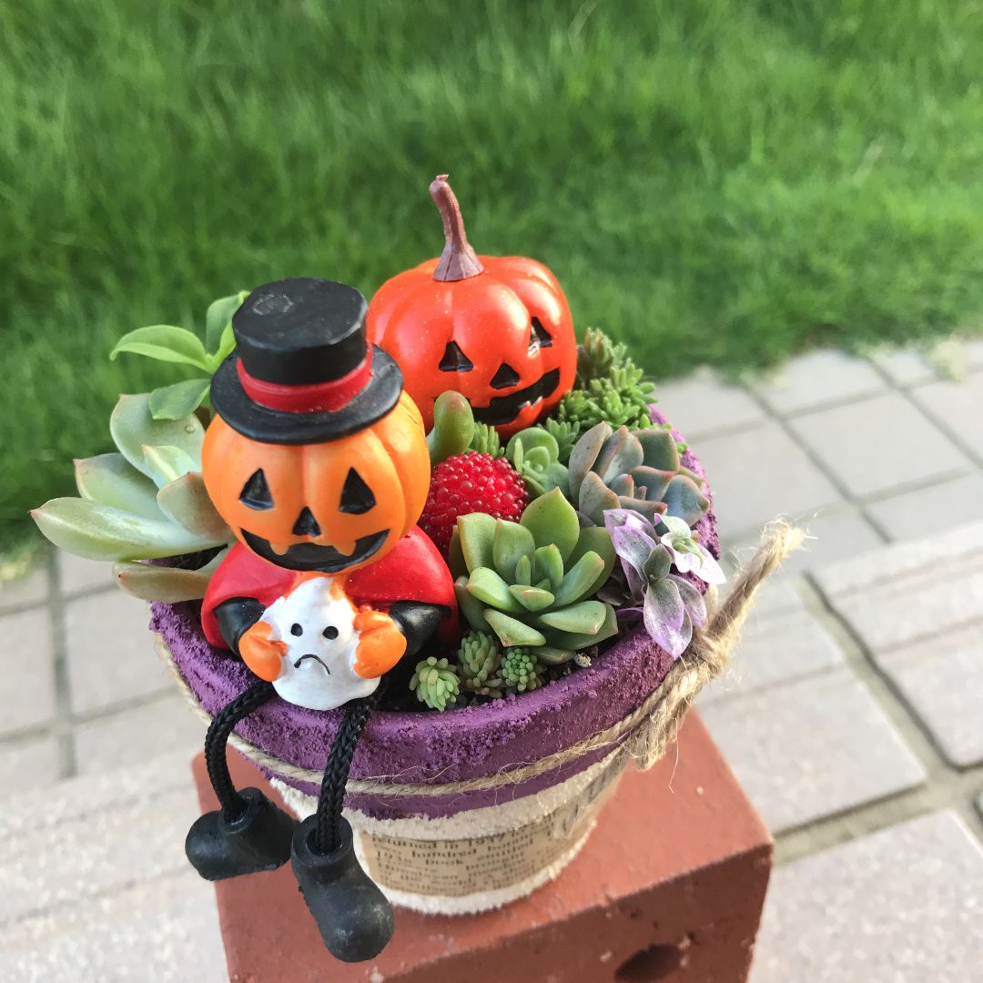 ♡そのまま飾れる♡リメ鉢♬ハロウィンの多肉植物寄せ植え