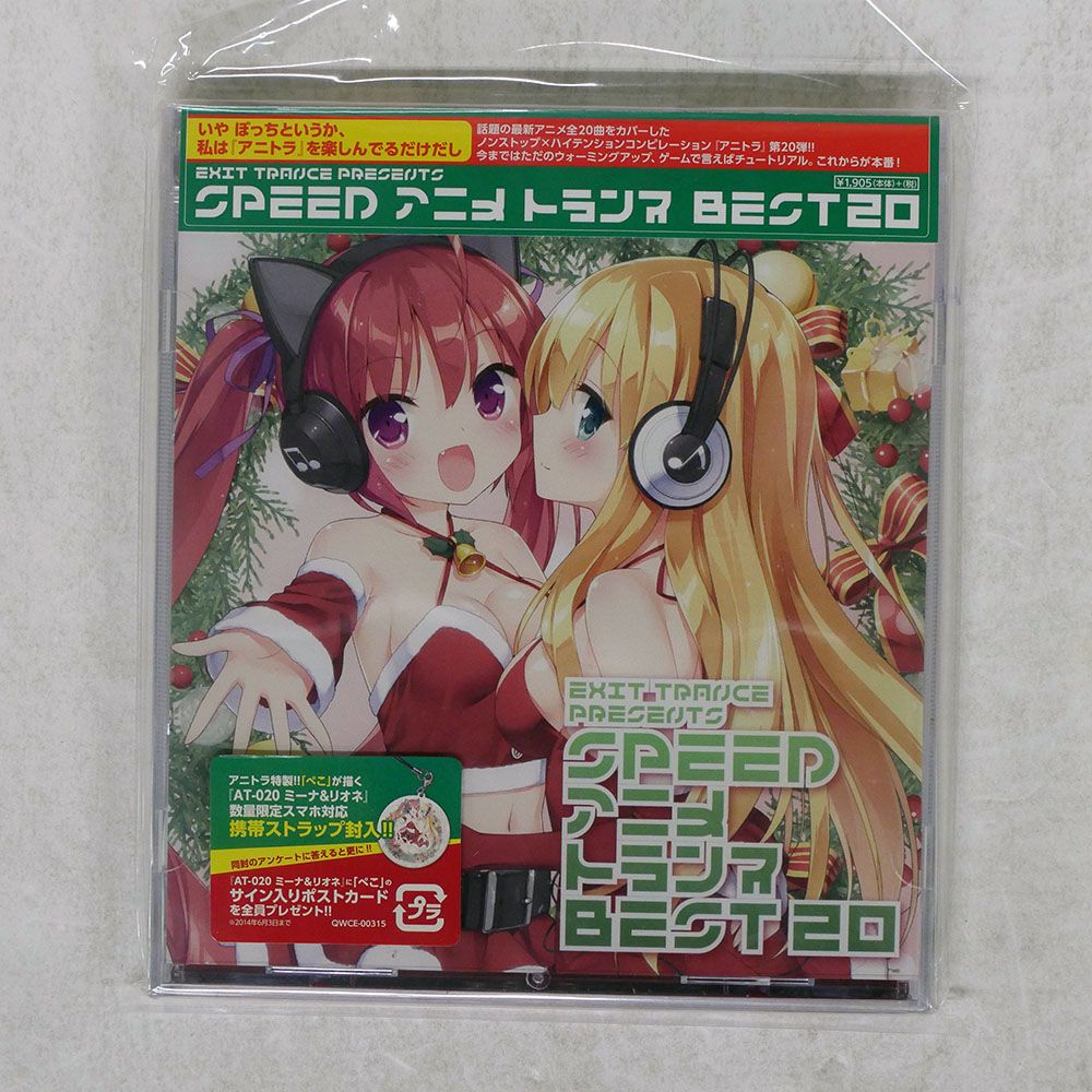 アニメ AIRness CD Z/X -Zillions of enemy X- NF DramaCD ⑨ 「13姉妹 雪月花