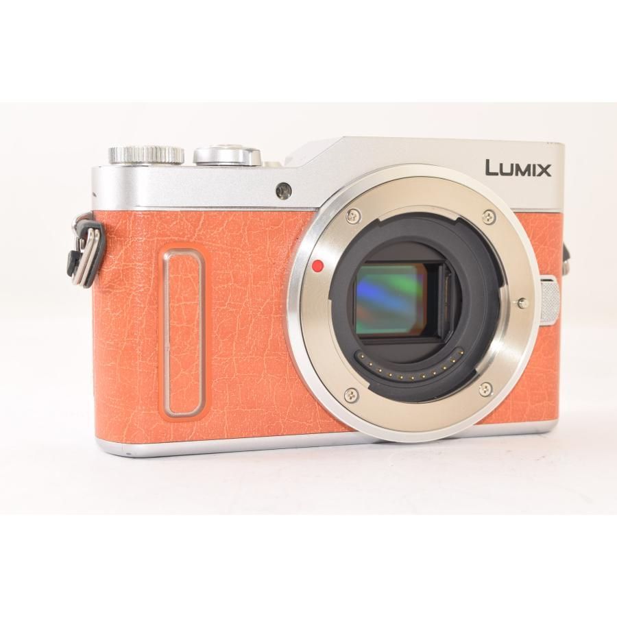 ミラーレス一眼カメラ