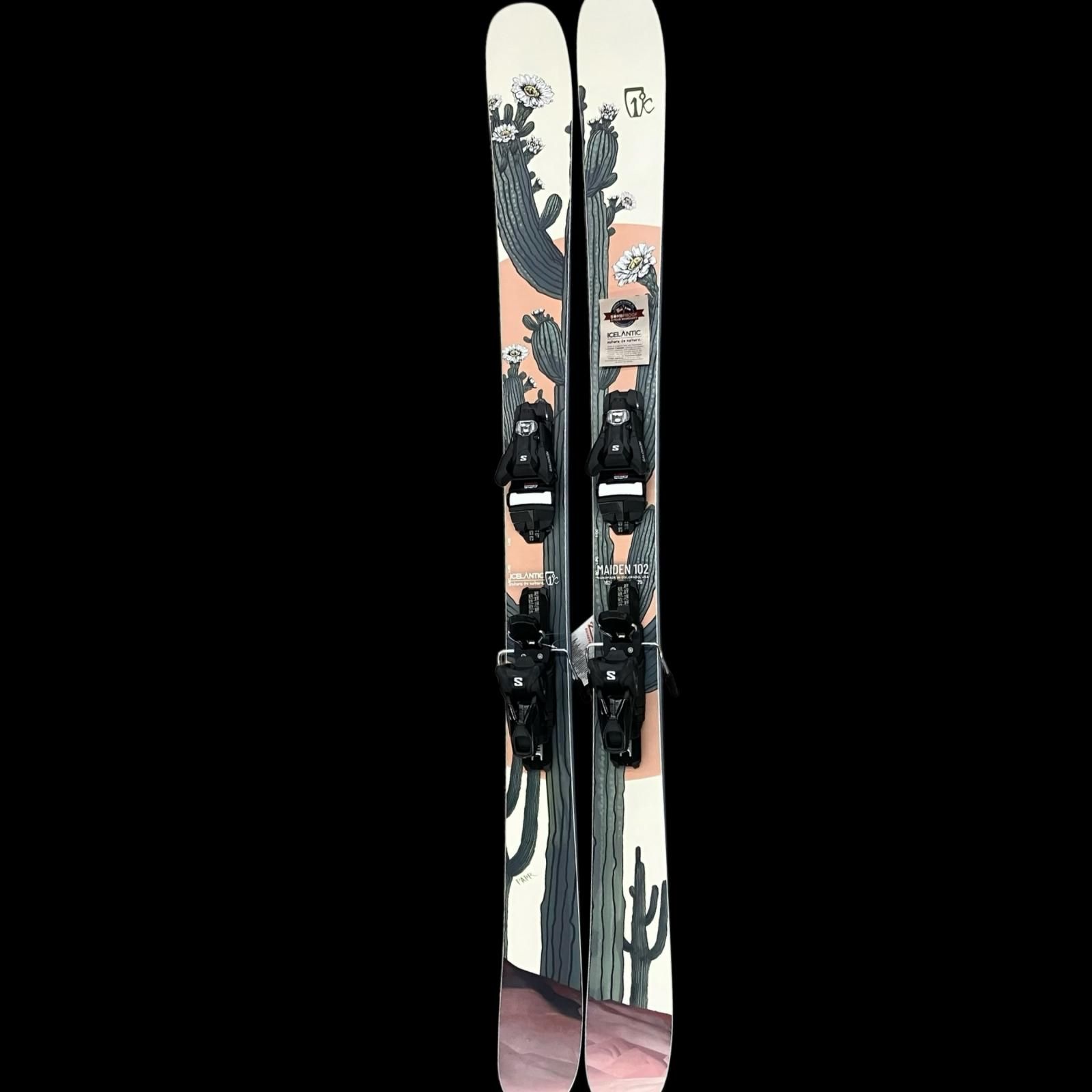 SG00001 Salomon サロモン スキー 板 NOMAD 106