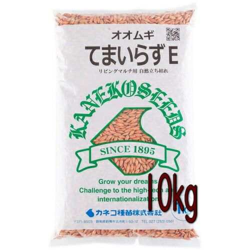 カネコ種苗 緑肥 オオムギ てまいらずE 10kg