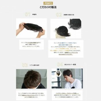 プリシラ 男性用5分ウィッグ レイヤーショート 耐熱 ブラック GB