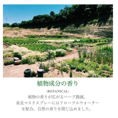 アロマチ 町の香り - 石巻市 女川町 -