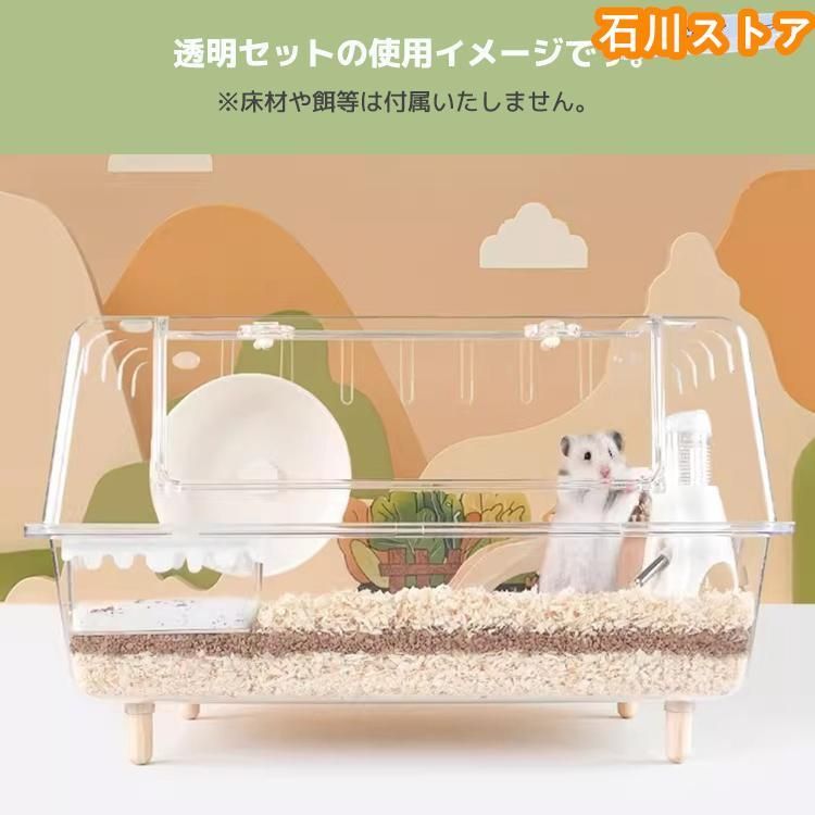 小動物