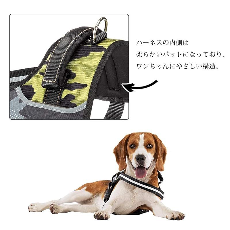 お出かけ