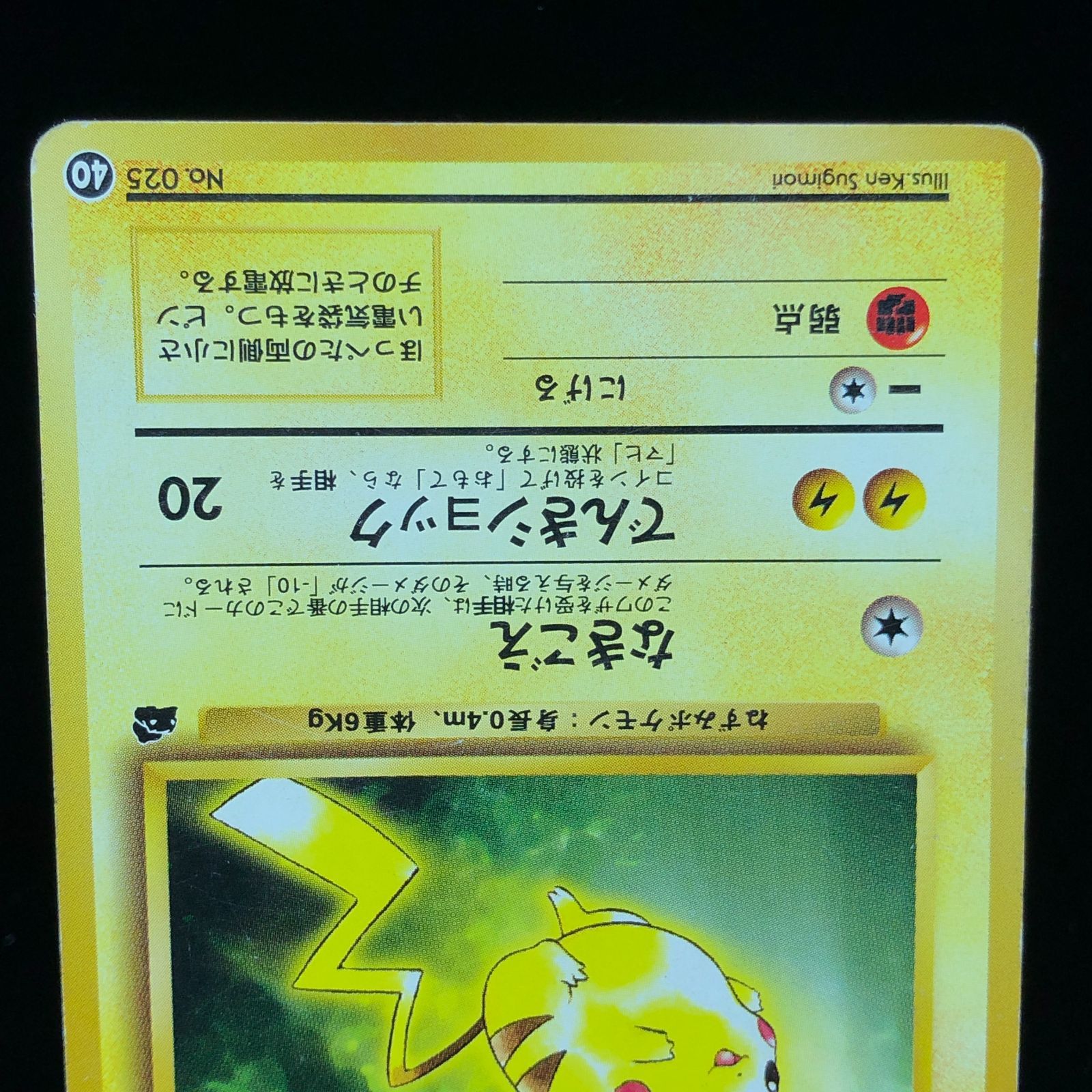 ポケモンカード 旧裏面 ピカチュウ フシギダネマーク イントロ