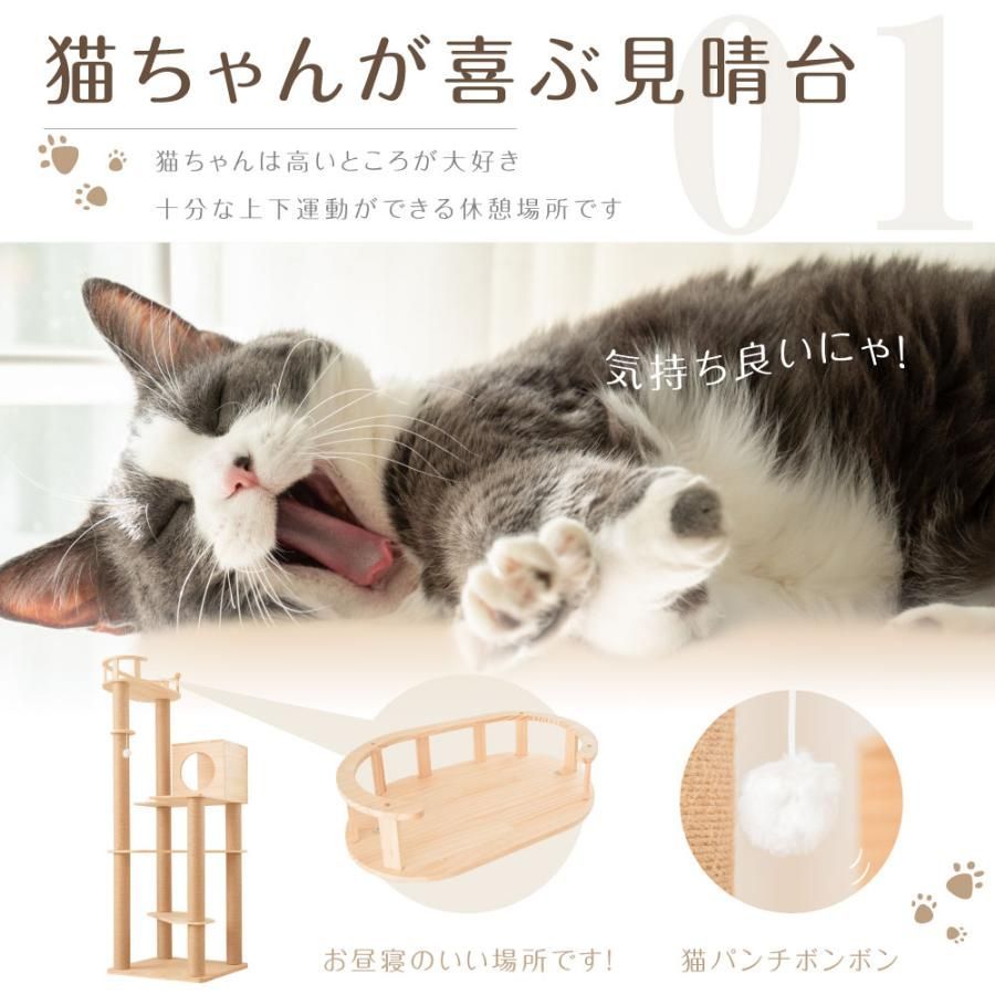 大型猫