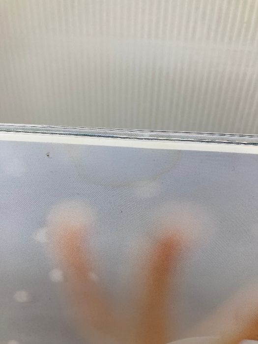 イタミ有り 桜井日奈子