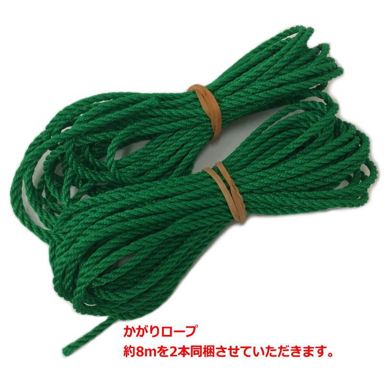 少年野球